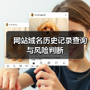 网站域名历史记录查询与风险判断（图4）