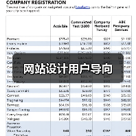 网站设计用户导向（图2）