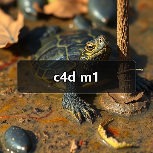 c4d m1（图1）