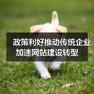 政策利好推动传统企业加速网站建设转型（图1）