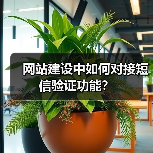 网站建设中如何对接短信验证功能?(图2) 网站建设中如何对接短信验证功能?(图2)