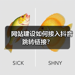 网站建设如何接入抖音跳转链接？（图2）