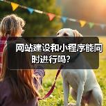 网站建设和小程序能同时进行吗？（图2）