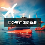 海外客户体验优化（图3）