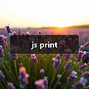 js print（图1）