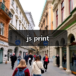 js print（图4）