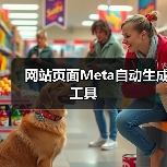 网站页面Meta自动生成工具（图2）