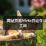 网站页面Meta自动生成工具（图3）