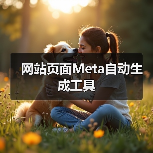 网站页面Meta自动生成工具（图4）