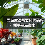 网站建设需要懂代码吗？新手建站指南（图3）