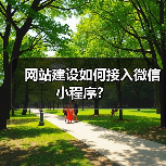 网站建设如何接入微信小程序？（图3）