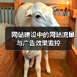 网站建设中的网站流量与广告效果监控(图3) 网站建设中的网站流量与广告效果监控(图3)