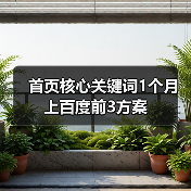 首页核心关键词1个月上百度前3方案（图2）