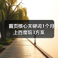 首页核心关键词1个月上百度前3方案