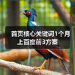 首页核心关键词1个月上百度前3方案（图4）