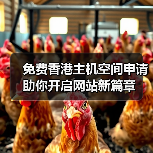 免费香港主机空间申请助你开启网站新篇章（图2）