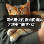 网站建设内容如何编排才利于百度优化？（图3）