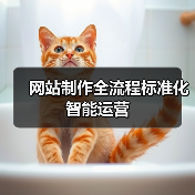 网站制作全流程标准化智能运营(图2) 网站制作全流程标准化智能运营(图2)