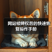 网站被降权后的快速恢复操作手册(图4) 网站被降权后的快速恢复操作手册(图4)