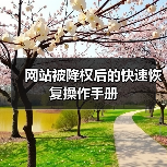 网站被降权后的快速恢复操作手册(图2) 网站被降权后的快速恢复操作手册(图2)