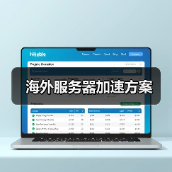 海外服务器加速方案（图4）