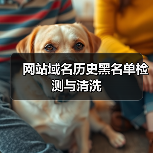 网站域名历史黑名单检测与清洗(图3) 网站域名历史黑名单检测与清洗(图3)