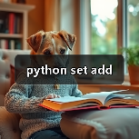 python set add（图4）