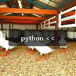 python <<（图3）