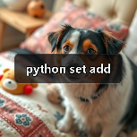 python set add（图2）