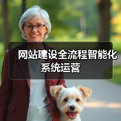 网站建设全流程智能化系统运营（图4）