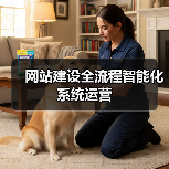 网站建设全流程智能化系统运营（图1）