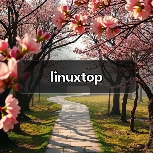linuxtop（图4）
