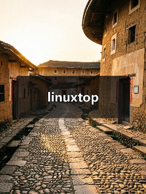 linuxtop（图1）