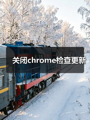 关闭chrome检查更新（图2）