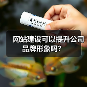 网站建设可以提升公司品牌形象吗？（图3）