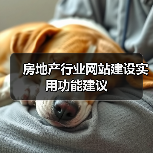 房地产行业网站建设实用功能建议（图1）