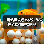 网站建设怎么做?从零开始教你搭建网站(图2) 网站建设怎么做?从零开始教你搭建网站(图2)
