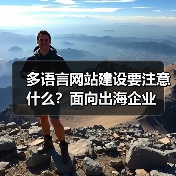多语言网站建设要注意什么？面向出海企业（图3）