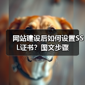 网站建设后如何设置SSL证书？图文步骤（图3）