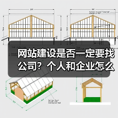 网站建设是否一定要找公司？个人和企业怎么选（图2）