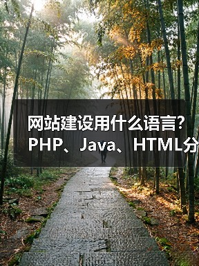 网站建设用什么语言？PHP、Java、HTML分析（图4）