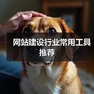 网站建设行业常用工具推荐（图4）