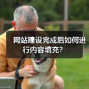 网站建设完成后如何进行内容填充？（图2）