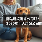 网站建设哪家公司好？2025年十大建站公司推荐（图1）
