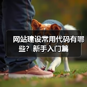 网站建设常用代码有哪些？新手入门篇（图2）
