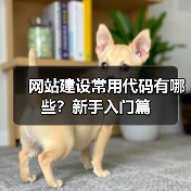 网站建设常用代码有哪些?新手入门篇(图3) 网站建设常用代码有哪些?新手入门篇(图3)
