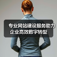 专业网站建设服务助力企业高效数字转型（图4）