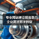 专业网站建设服务助力企业高效数字转型（图2）