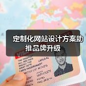 定制化网站设计方案助推品牌升级（图4）