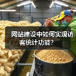 网站建设中如何实现访客统计功能?(图3) 网站建设中如何实现访客统计功能?(图3)